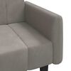 vidaXL Sofá-cama de 2 lugares veludo cinzento-claro