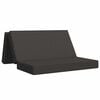 vidaXL Sof&aacute; Cama Dobr&aacute;vel 160 x 67 x 45 cm Cinzento-Escuro