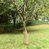 Imagem em miniatura do produto 2 de 7