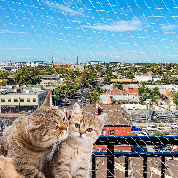 Ferplast Rede de seguran&ccedil;a para gatos 600x300 cm Nylon L