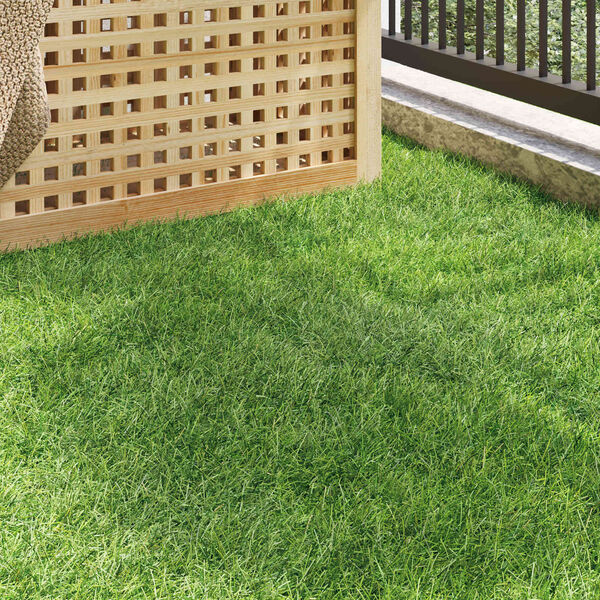 A apresentar a imagem do produto 3 de 10