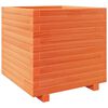vidaXL Vaso/floreira de jardim 50x50x49,5 cm pinho maci&ccedil;o castanho mel