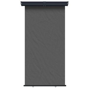 vidaXL Toldo Lateral de Varanda 170 x 250 cm