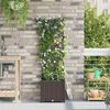 Imagem em miniatura do produto 3 de 10