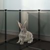 Imagem em miniatura do produto 8 de 10