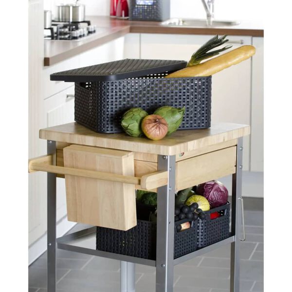 Curver Caixa de arruma&ccedil;&atilde;o com tampa Style M 18 L prateado met&aacute;lico