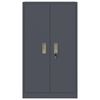 vidaXL Arm&aacute;rio de arruma&ccedil;&atilde;o Antracite 60 x 40 x 105 cm