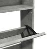 vidaXL Sapateira c/ espelho 4 divis&oacute;rias 63x17x134 cm cinza cimento