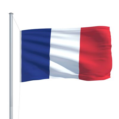 vidaXL Bandeira da França com mastro de alumínio 6,2 m