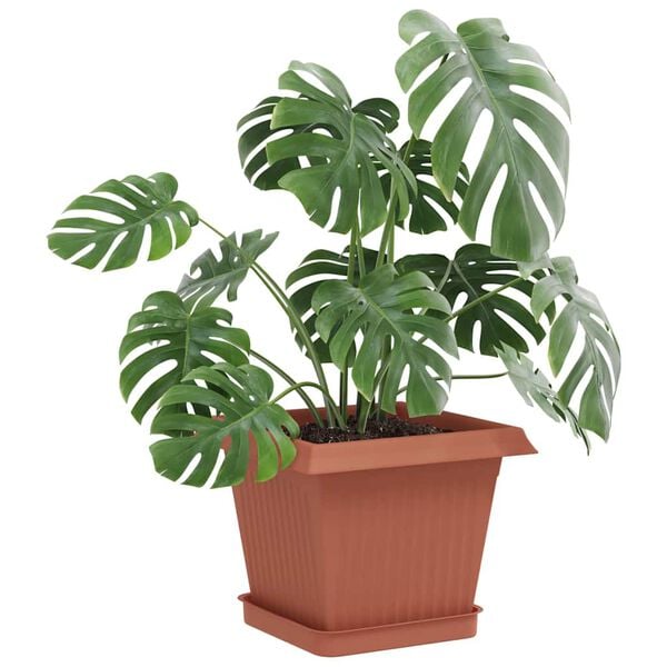 A apresentar a imagem do produto 3 de 10