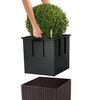 Imagem em miniatura do produto 4 de 8