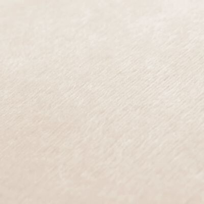 vidaXL Conjunto de 2 almofadas 60x60 cm tecido branco pálido