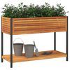 vidaXL Vaso/floreira de jardim c/ prateleira 110x45x80 cm ac&aacute;cia/a&ccedil;o