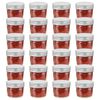 vidaXL Frascos de vidro com tampas prateadas 24 pcs 110 ml