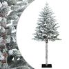 Green_and_white