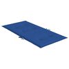 vidaXL Almofadões lombares p/ cadeiras de jardim 2pcs oxford azul real