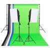 vidaXL Kit de ilumina&ccedil;&atilde;o para est&uacute;dio com fundos e softboxes