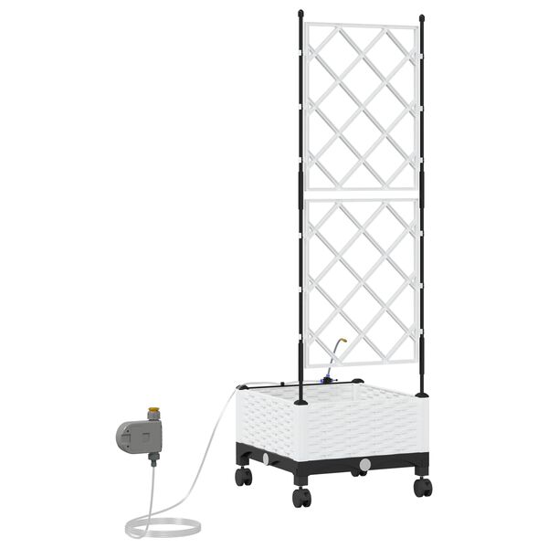 A apresentar a imagem do produto 4 de 7