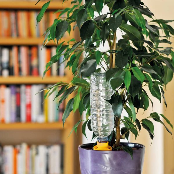 Hozelock Cones de rega grandes 4 pcs Aquasolo