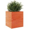 vidaXL Vaso/floreira de jardim 40x40x46 cm pinho maci&ccedil;o castanho-mel
