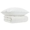 vidaXL Conjunto de Edred&atilde;o 90% Penas de Ganso FULDA 2 unid. 210 GSM
