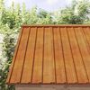 vidaXL Painel de telhado 12 pcs 60x44 cm aço corten cor enferrujado
