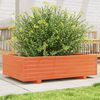 vidaXL Vaso/floreira de jardim 90x60x26,5 cm pinho maci&ccedil;o castanho-mel