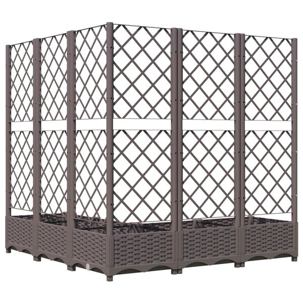 A apresentar a imagem do produto 3 de 8