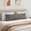 vidaXL Travesseiros de Sof&aacute; 2 pcs Cinzento-claro 145 x 40 cm