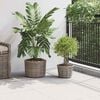 vidaXL Cesta de Plantas com armazenamento 2 pcs Cinzeto Rattan Kubu