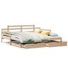 vidaXL Sof&aacute;-cama com gavet&atilde;o e gavetas sem colch&atilde;o 80x200 cm