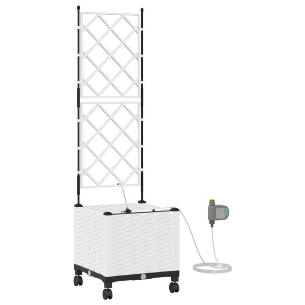 A apresentar a imagem do produto 1 de 7