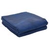 vidaXL Tapete para Barraca Azul 500 &times; 350 cm Poli&eacute;ster