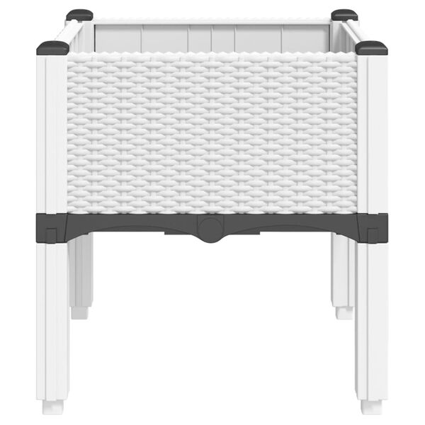 A apresentar a imagem do produto 4 de 8