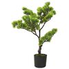 Dark_green