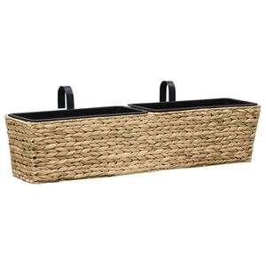 vidaXL Floreiras de pendurar 2 pcs jacinto de &aacute;gua