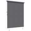 vidaXL Cortina Rolô Exterior Riscas Antracite 200 x 250 cm tecido