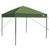 vidaXL Tenda de Toldo Manual Verde 243 x 243 x 251 cm tecido