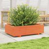vidaXL Vaso/floreira de jardim 90x60x26,5 cm pinho maci&ccedil;o castanho-mel