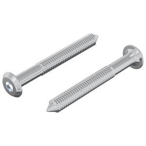 vidaXL Parafuso 2 pcs Prateado M6 x 50 mm A&ccedil;o