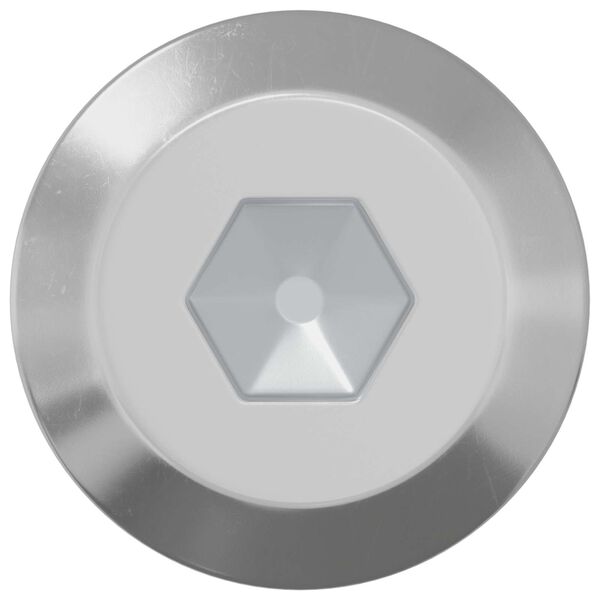 vidaXL Parafuso 2 pcs Prateado M6 x 60 mm A&ccedil;o