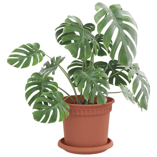 vidaXL Bandeja Redonda de Flores 24 pcs Vermelho Tijolo &Oslash; 14 x 2 cm