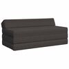 vidaXL Sof&aacute; Cama Dobr&aacute;vel Cinzento-Escuro 120 x 60 x 49 cm Tecido