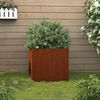 vidaXL Vaso/floreira 49x47x46 cm a&ccedil;o corten