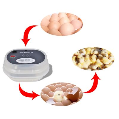 Incubadora automática de ovo por 9 ovos de galinha