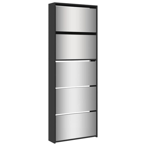 vidaXL Sapateira com espelho de 5 divisórias 63x17x169,5 cm preto