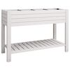 vidaXL Canteiro elevado 110x45x79 cm polipropileno branco