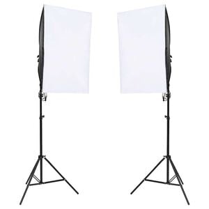 vidaXL Ilumina&ccedil;&atilde;o de est&uacute;dio profissional 2 pcs 40x60 cm