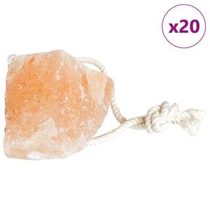 vidaXL Pedras de Sal para Lamber Rosa Sal de Rocha