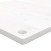 vidaXL Tampo de secret&aacute;ria 110x55x2,5 cm pinho maci&ccedil;o branco